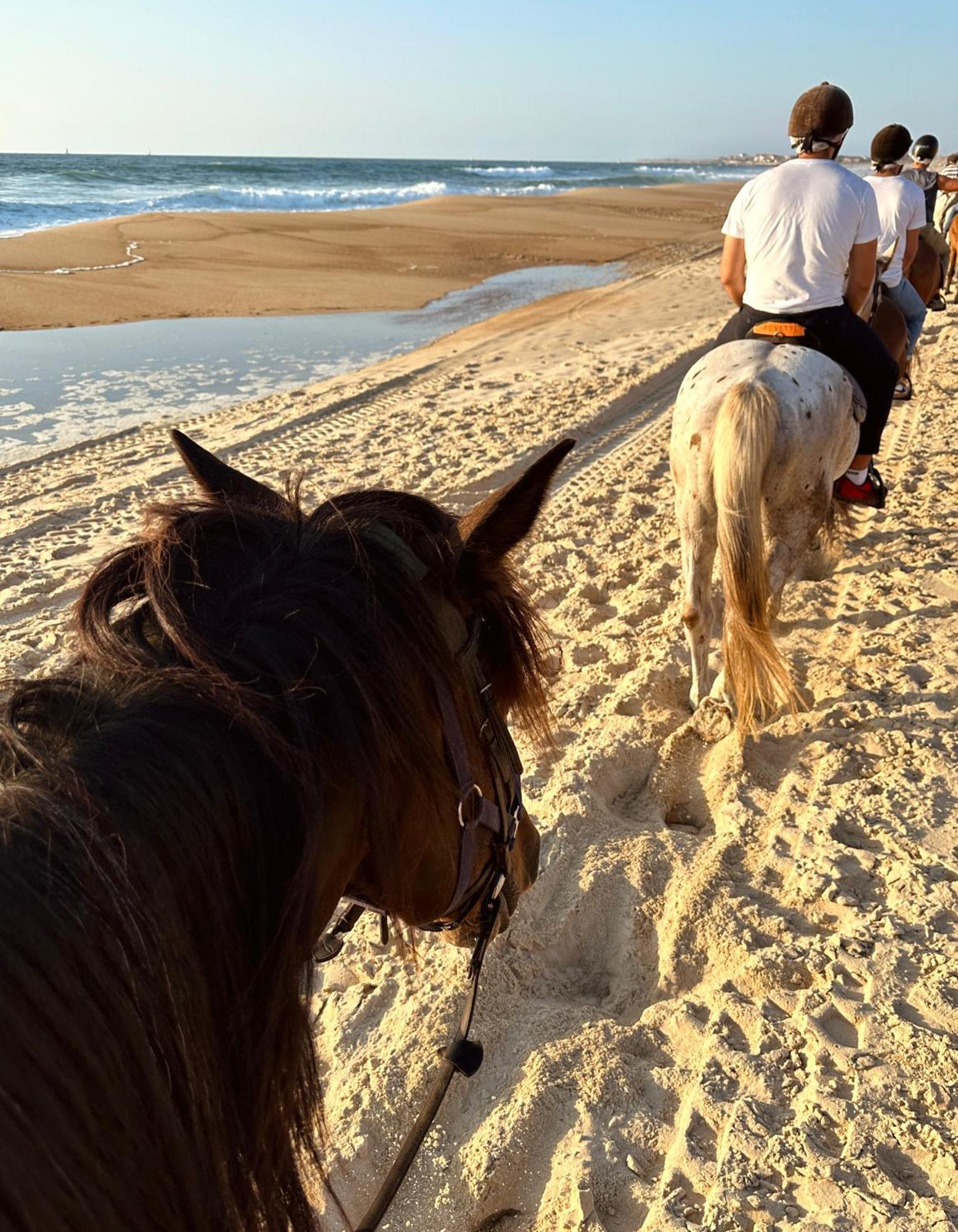 Hotel Aparra Surfcamp Capbreton Zewnętrze zdjęcie